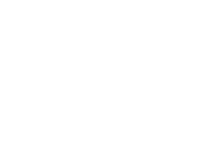 logo light